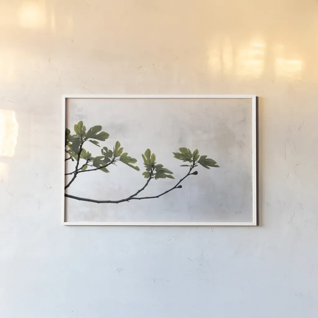 Fig Branch by Deborah Revell. shown as a paper print in a white frame. Available as a archival giclee rolled canvas, fine art paper, or poster print. SKU 94137i.