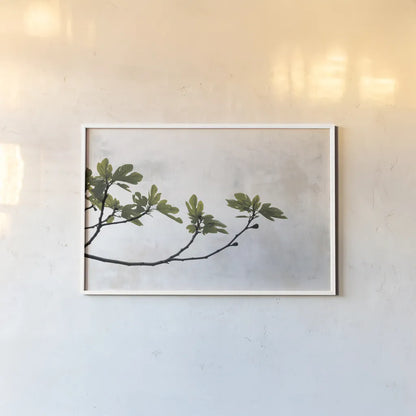 Fig Branch by Deborah Revell. shown as a paper print in a white frame. Available as a archival giclee rolled canvas, fine art paper, or poster print. SKU 94137i.