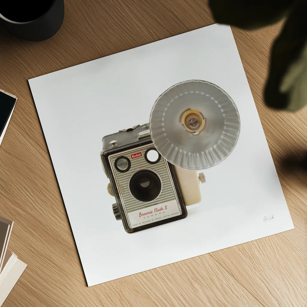 Flash Bulb Camera by Deborah Revell. Shown as a detailed flat fine art print, highlighting archival giclee quality. Available as an archival giclee rolled canvas, fine art paper, or poster print. SKU 92066a.