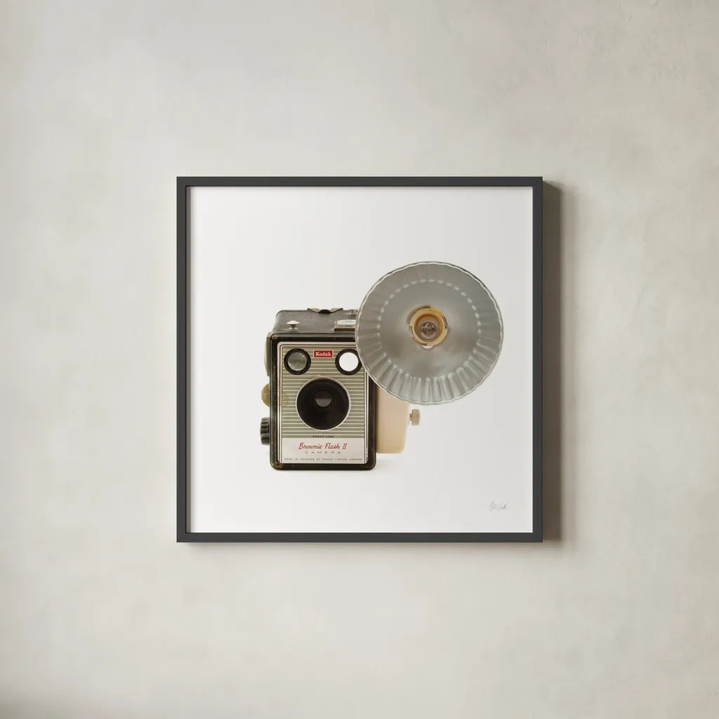 Flash Bulb Camera by Deborah Revell. Shown in a sleek black glass frame for a contemporary gallery look. Available as an archival giclee rolled canvas, fine art paper, or poster print. SKU 92066a.