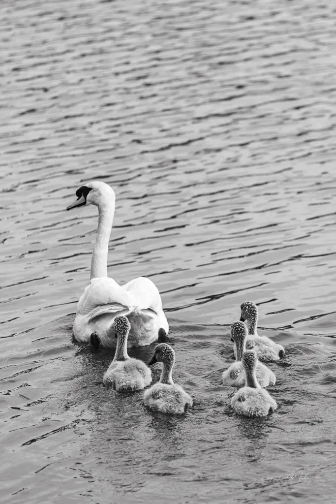 Follow the Leader by Deborah Revell. SKU 96817h. Archival Giclee Fine art print for wall decor.