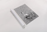 Follow the Leader by Deborah Revell. shown as a rolled paper print. Available as archival giclee rolled canvas, fine art paper, or poster print. SKU 96817h.