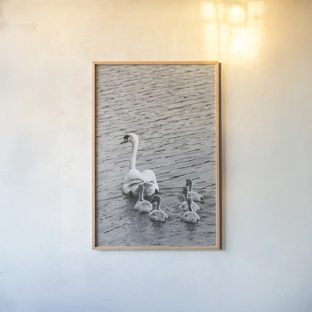Follow the Leader by Deborah Revell. shown as a paper print in a natural frame. Available as a archival giclee rolled canvas, fine art paper, or poster print. SKU 96817h.