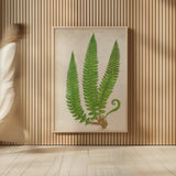 Forest Fern I by Deborah Revell. shown as over sized large wall art. Available as an archival giclee rolled canvas, fine art paper, or poster print. SKU 95474h.