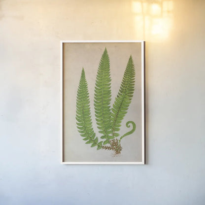 Forest Fern I by Deborah Revell. shown as a paper print in a white frame. Available as a archival giclee rolled canvas, fine art paper, or poster print. SKU 95474h.
