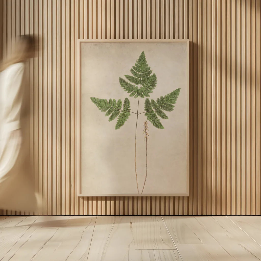 Forest Fern II by Deborah Revell. shown as over sized large wall art. Available as an archival giclee rolled canvas, fine art paper, or poster print. SKU 95475h.