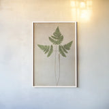 Forest Fern II by Deborah Revell. shown as a paper print in a white frame. Available as a archival giclee rolled canvas, fine art paper, or poster print. SKU 95475h.