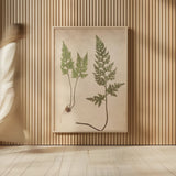 Forest Fern III by Deborah Revell. shown as over sized large wall art. Available as an archival giclee rolled canvas, fine art paper, or poster print. SKU 95476h.