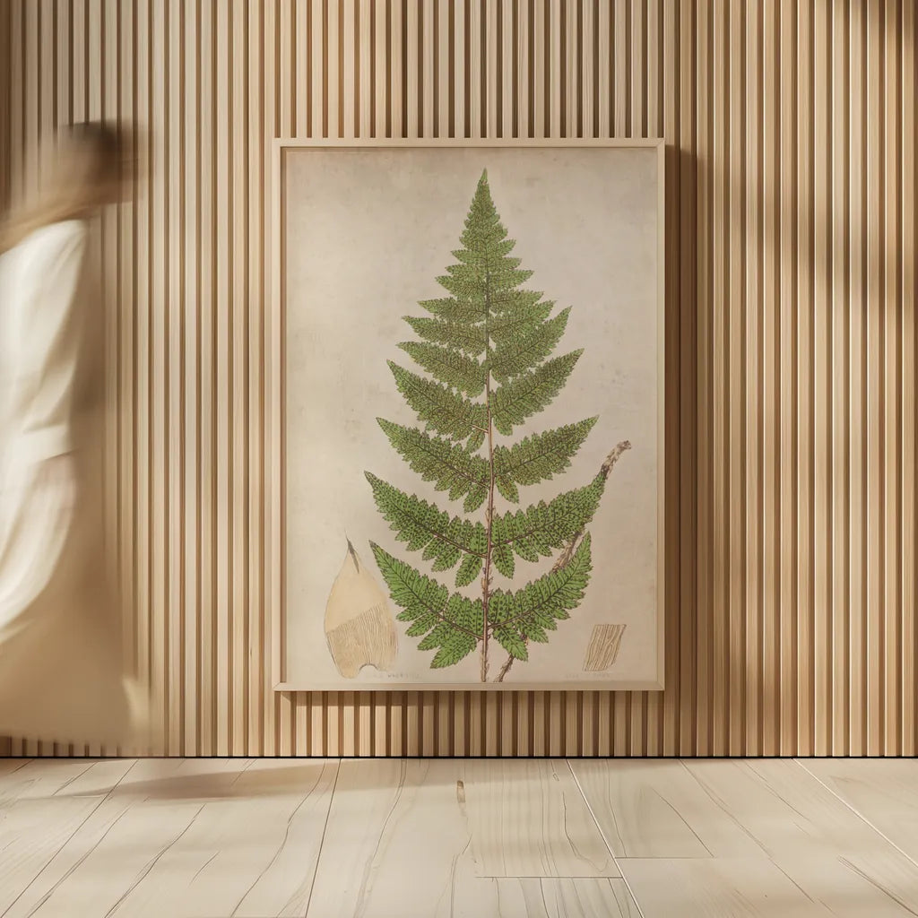 Forest Fern IV by Deborah Revell. shown as over sized large wall art. Available as an archival giclee rolled canvas, fine art paper, or poster print. SKU 95477h.