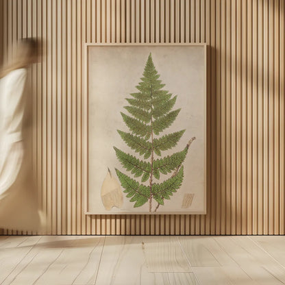 Forest Fern IV by Deborah Revell. shown as over sized large wall art. Available as an archival giclee rolled canvas, fine art paper, or poster print. SKU 95477h.