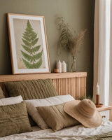 Forest Fern IV by Deborah Revell. shown as a paper print in a natural frame. Available as a archival giclee rolled canvas, fine art paper, or poster print. SKU 95477h.