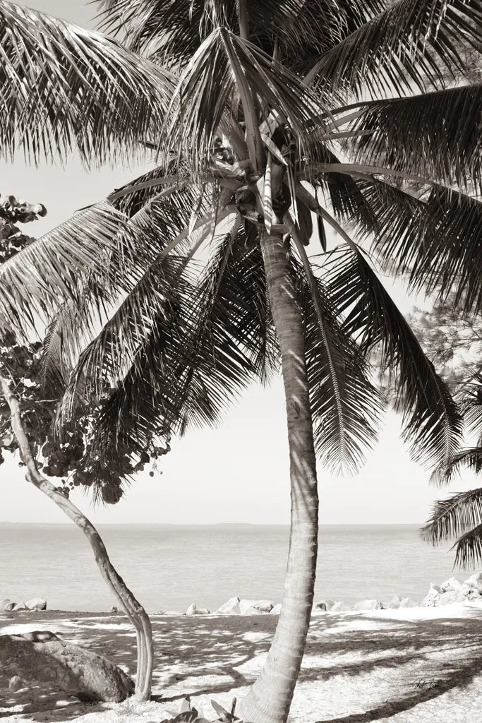 Fort Zachary Beach I BW by Deborah Revell. SKU 103788h. Archival Giclee Fine art print for wall decor.
