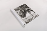Fort Zachary Beach I BW by Deborah Revell. shown as a rolled paper print. Available as archival giclee rolled canvas, fine art paper, or poster print. SKU 103788h.