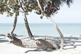 Fort Zachary Beach II by Deborah Revell. SKU 103789i. Archival Giclee Fine art print for wall decor.