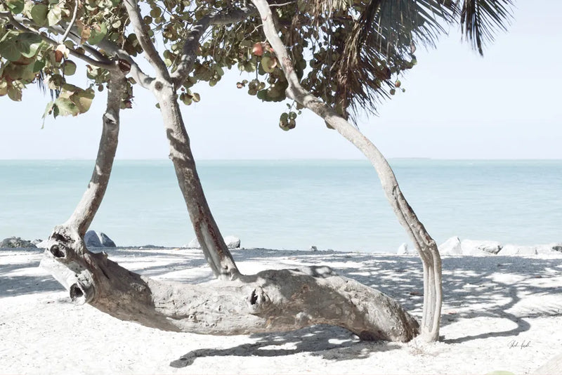 Fort Zachary Beach II by Deborah Revell. SKU 103789i. Archival Giclee Fine art print for wall decor.
