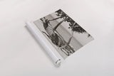 Fort Zachary Beach II BW by Deborah Revell. shown as a rolled paper print. Available as archival giclee rolled canvas, fine art paper, or poster print. SKU 103790i.