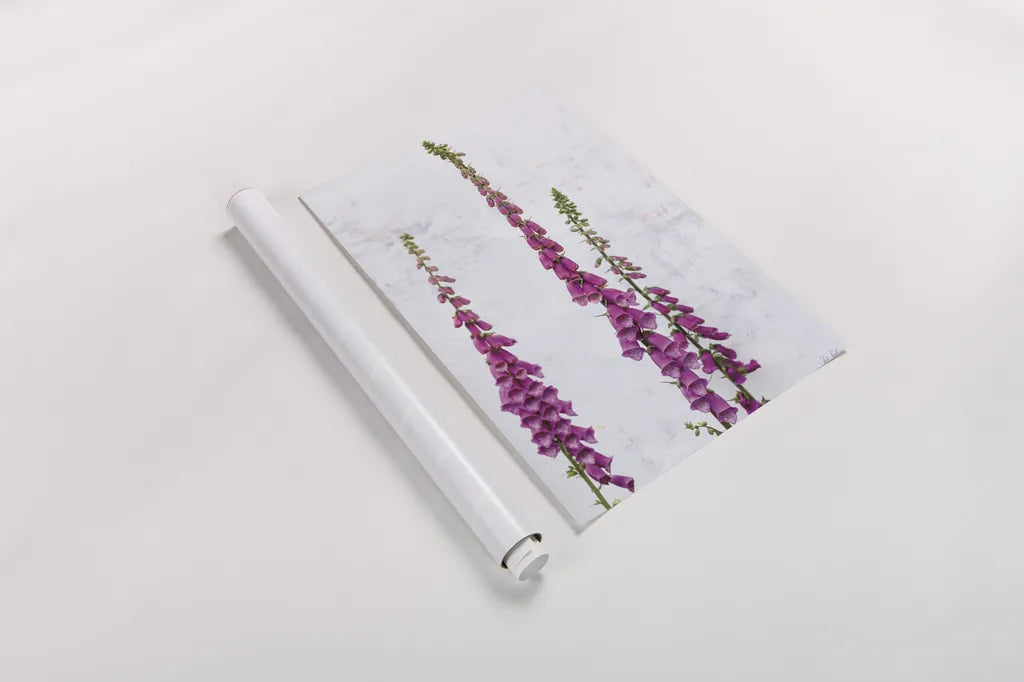 Foxgloves by Deborah Revell. shown as a rolled paper print. Available as archival giclee rolled canvas, fine art paper, or poster print. SKU 93428h.