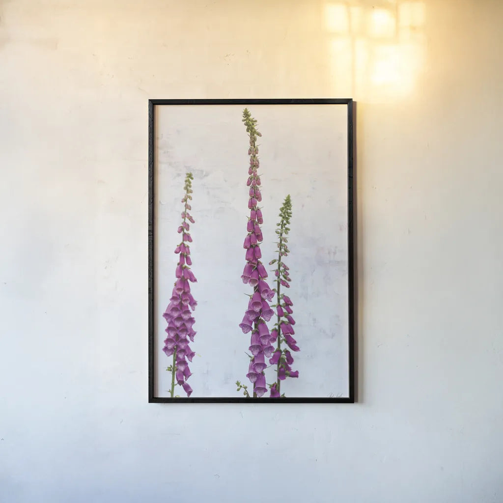 Foxgloves by Deborah Revell. shown as a paper print in a black flame. Available as a archival giclee rolled canvas, fine art paper, or poster print. SKU 93428h.