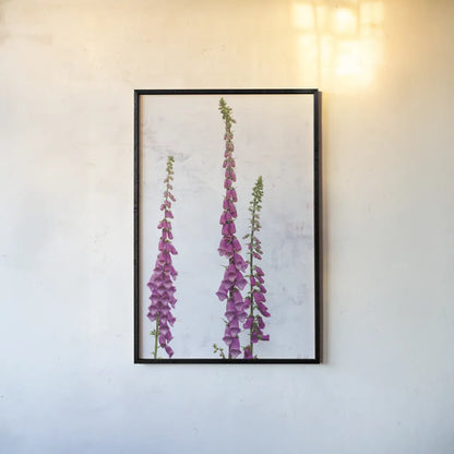 Foxgloves by Deborah Revell. shown as a paper print in a black flame. Available as a archival giclee rolled canvas, fine art paper, or poster print. SKU 93428h.