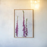 Foxgloves by Deborah Revell. shown as a paper print in a natural frame. Available as a archival giclee rolled canvas, fine art paper, or poster print. SKU 93428h.