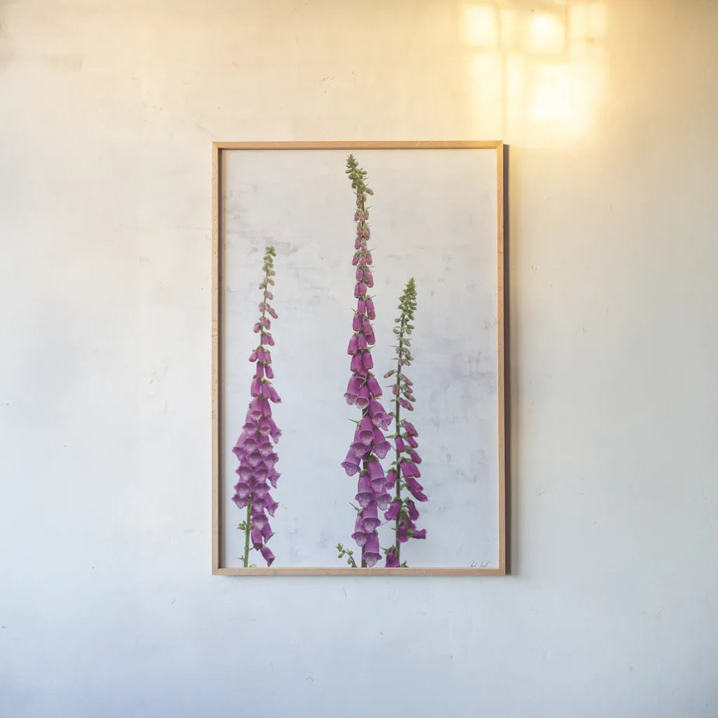Foxgloves by Deborah Revell. shown as a paper print in a natural frame. Available as a archival giclee rolled canvas, fine art paper, or poster print. SKU 93428h.