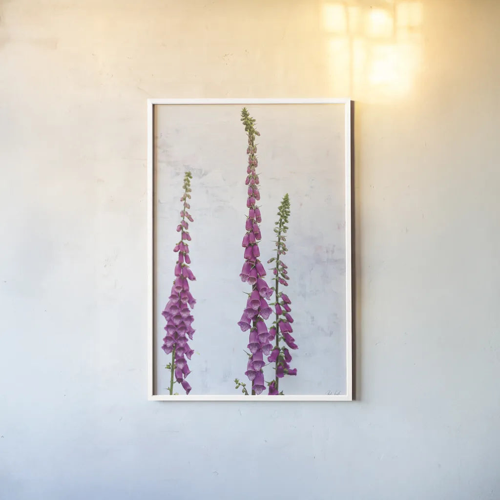 Foxgloves by Deborah Revell. shown as a paper print in a white frame. Available as a archival giclee rolled canvas, fine art paper, or poster print. SKU 93428h.