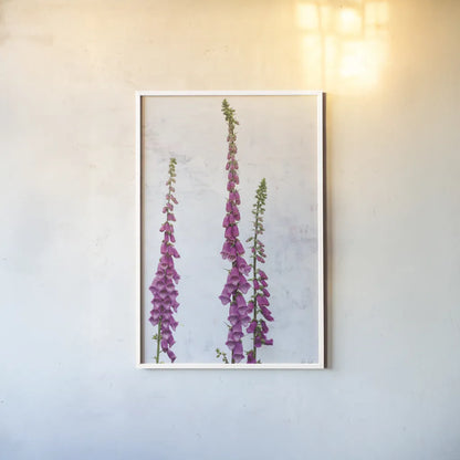 Foxgloves by Deborah Revell. shown as a paper print in a white frame. Available as a archival giclee rolled canvas, fine art paper, or poster print. SKU 93428h.