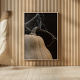 Frans Pumpkin I by Deborah Revell. shown as over sized large wall art. Available as an archival giclee rolled canvas, fine art paper, or poster print. SKU 102839h.