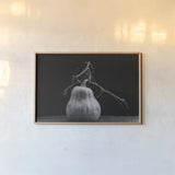 Frans Pumpkin II by Deborah Revell. shown as a paper print in a natural frame. Available as a archival giclee rolled canvas, fine art paper, or poster print. SKU 102840i.