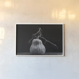 Frans Pumpkin II by Deborah Revell. shown as a paper print in a white frame. Available as a archival giclee rolled canvas, fine art paper, or poster print. SKU 102840i.