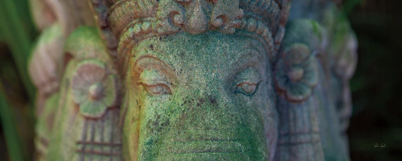 Ganesha Close Up by Deborah Revell