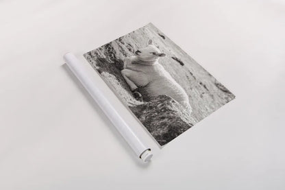 Gentle Sheep I by Deborah Revell. shown as a rolled paper print. Available as archival giclee rolled canvas, fine art paper, or poster print. SKU 94360i.