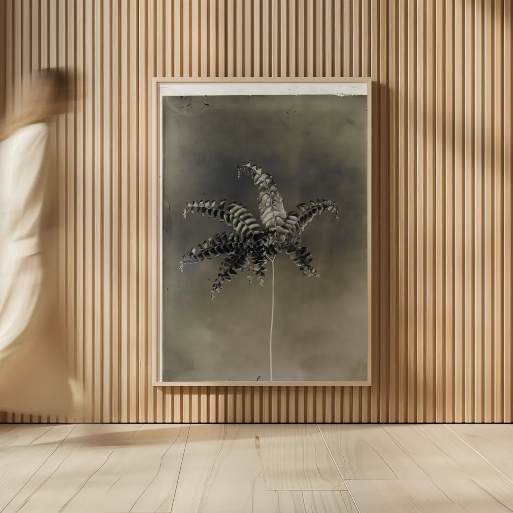 Glass Plate Botanical I by Deborah Revell. shown as over sized large wall art. Available as an archival giclee rolled canvas, fine art paper, or poster print. SKU 94583h.