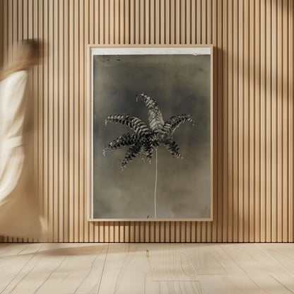 Glass Plate Botanical I by Deborah Revell. shown as over sized large wall art. Available as an archival giclee rolled canvas, fine art paper, or poster print. SKU 94583h.