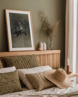 Glass Plate Botanical I by Deborah Revell. shown as a paper print in a natural frame. Available as a archival giclee rolled canvas, fine art paper, or poster print. SKU 94583h.