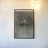 Glass Plate Botanical I by Deborah Revell. shown as a paper print in a black flame. Available as a archival giclee rolled canvas, fine art paper, or poster print. SKU 94583h.