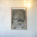 Glass Plate Botanical II by Deborah Revell. shown as a paper print in a natural frame. Available as a archival giclee rolled canvas, fine art paper, or poster print. SKU 94584h.