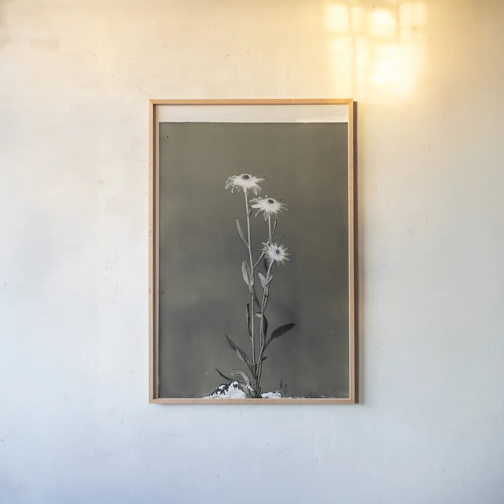 Glass Plate Botanical III by Deborah Revell. shown as a paper print in a natural frame. Available as a archival giclee rolled canvas, fine art paper, or poster print. SKU 94585h.