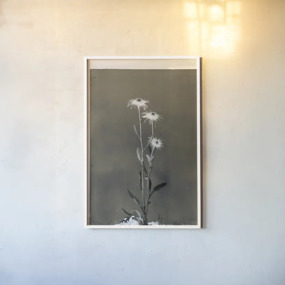 Glass Plate Botanical III by Deborah Revell. shown as a paper print in a white frame. Available as a archival giclee rolled canvas, fine art paper, or poster print. SKU 94585h.