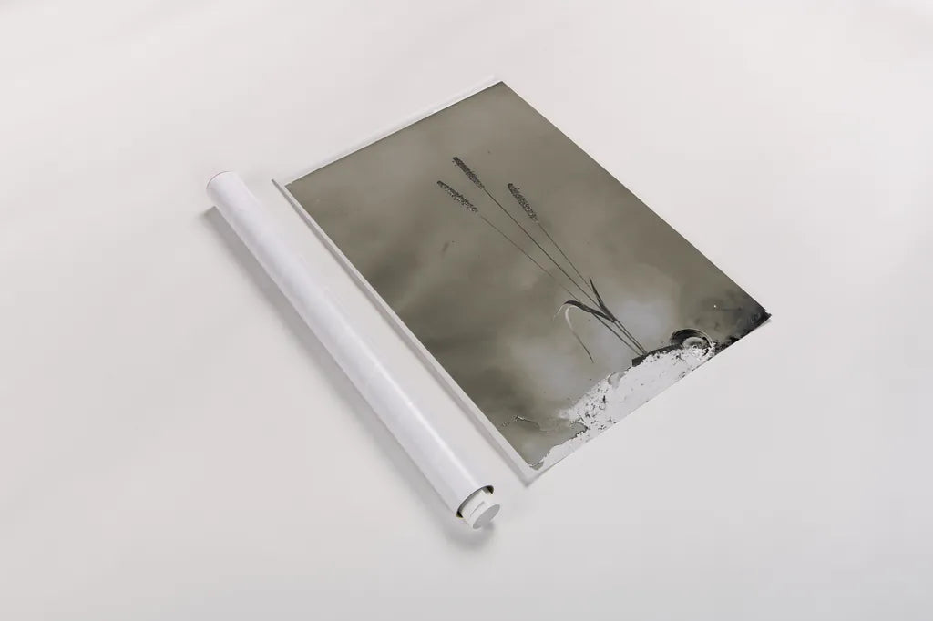 Glass Plate Botanical IV by Deborah Revell. shown as a rolled paper print. Available as archival giclee rolled canvas, fine art paper, or poster print. SKU 94586h.