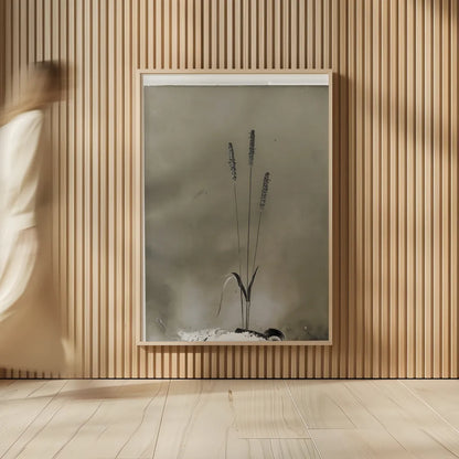 Glass Plate Botanical IV by Deborah Revell. shown as over sized large wall art. Available as an archival giclee rolled canvas, fine art paper, or poster print. SKU 94586h.