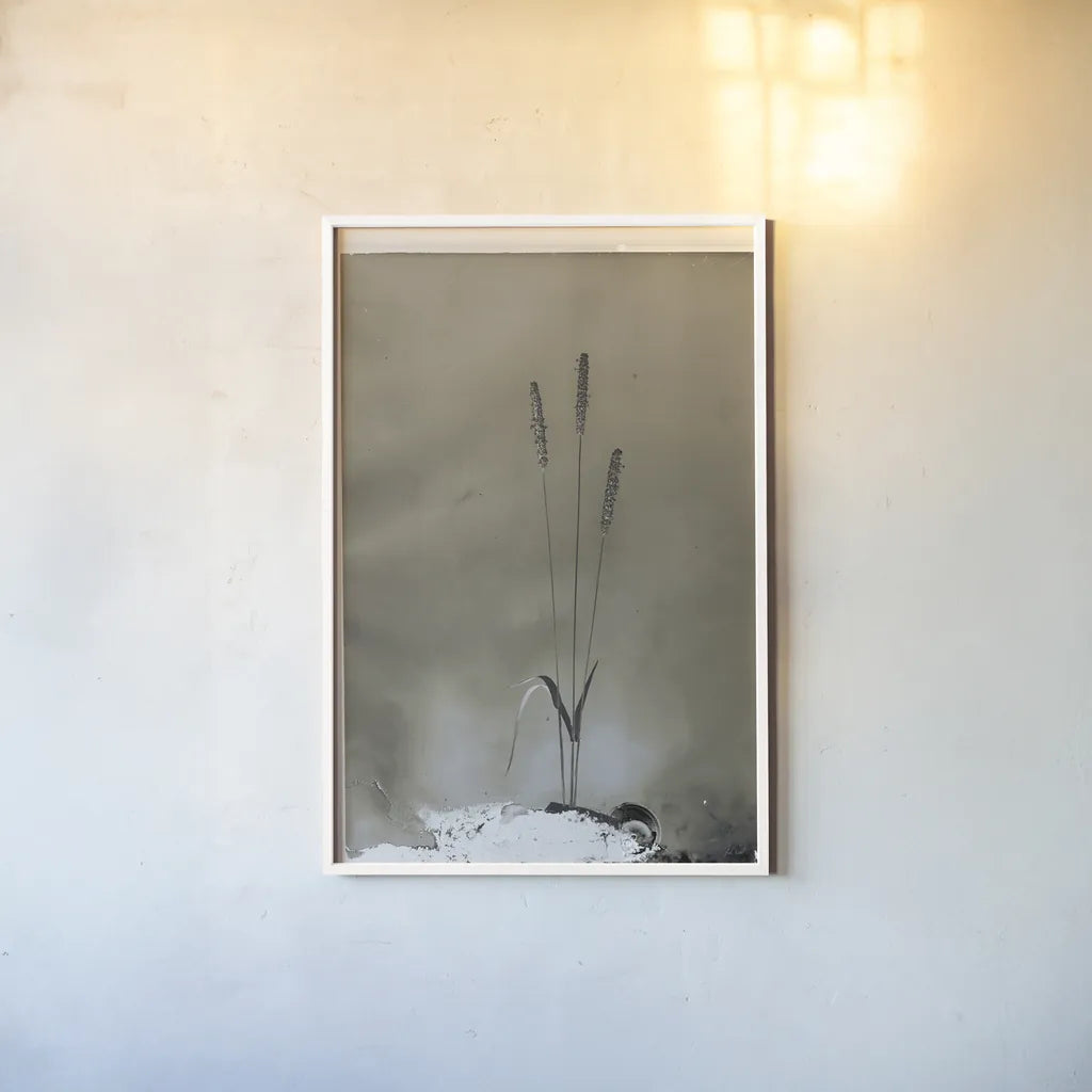 Glass Plate Botanical IV by Deborah Revell. shown as a paper print in a white frame. Available as a archival giclee rolled canvas, fine art paper, or poster print. SKU 94586h.