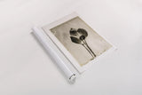 Glass Plate I by Deborah Revell. shown as a rolled paper print. Available as archival giclee rolled canvas, fine art paper, or poster print. SKU 94346h.