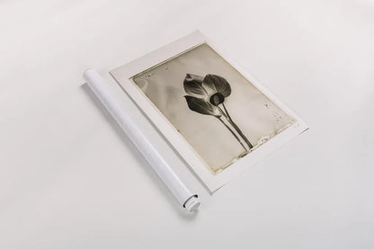 Glass Plate I by Deborah Revell. shown as a rolled paper print. Available as archival giclee rolled canvas, fine art paper, or poster print. SKU 94346h.