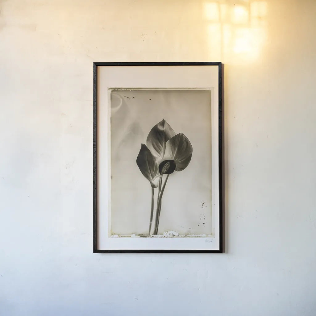 Glass Plate I by Deborah Revell. shown as a paper print in a black flame. Available as a archival giclee rolled canvas, fine art paper, or poster print. SKU 94346h.