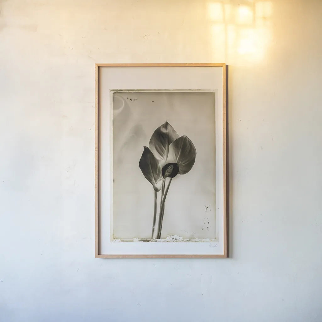 Glass Plate I by Deborah Revell. shown as a paper print in a natural frame. Available as a archival giclee rolled canvas, fine art paper, or poster print. SKU 94346h.