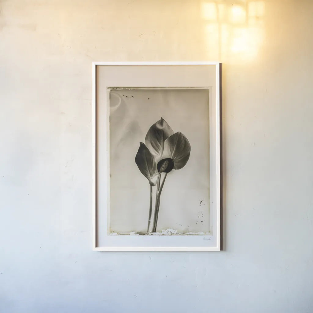 Glass Plate I by Deborah Revell. shown as a paper print in a white frame. Available as a archival giclee rolled canvas, fine art paper, or poster print. SKU 94346h.