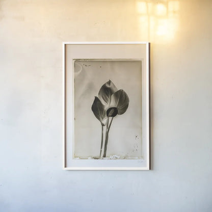 Glass Plate I by Deborah Revell. shown as a paper print in a white frame. Available as a archival giclee rolled canvas, fine art paper, or poster print. SKU 94346h.