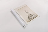 Glass Plate II by Deborah Revell. shown as a rolled paper print. Available as archival giclee rolled canvas, fine art paper, or poster print. SKU 94347h.