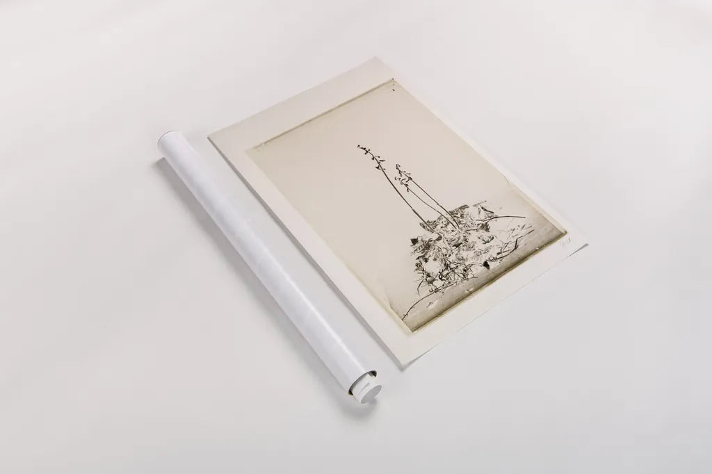 Glass Plate II by Deborah Revell. shown as a rolled paper print. Available as archival giclee rolled canvas, fine art paper, or poster print. SKU 94347h.